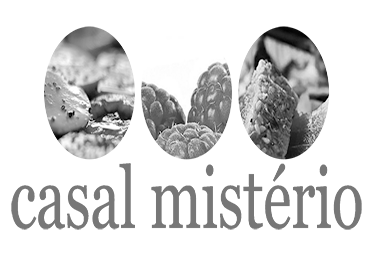 casal mistério